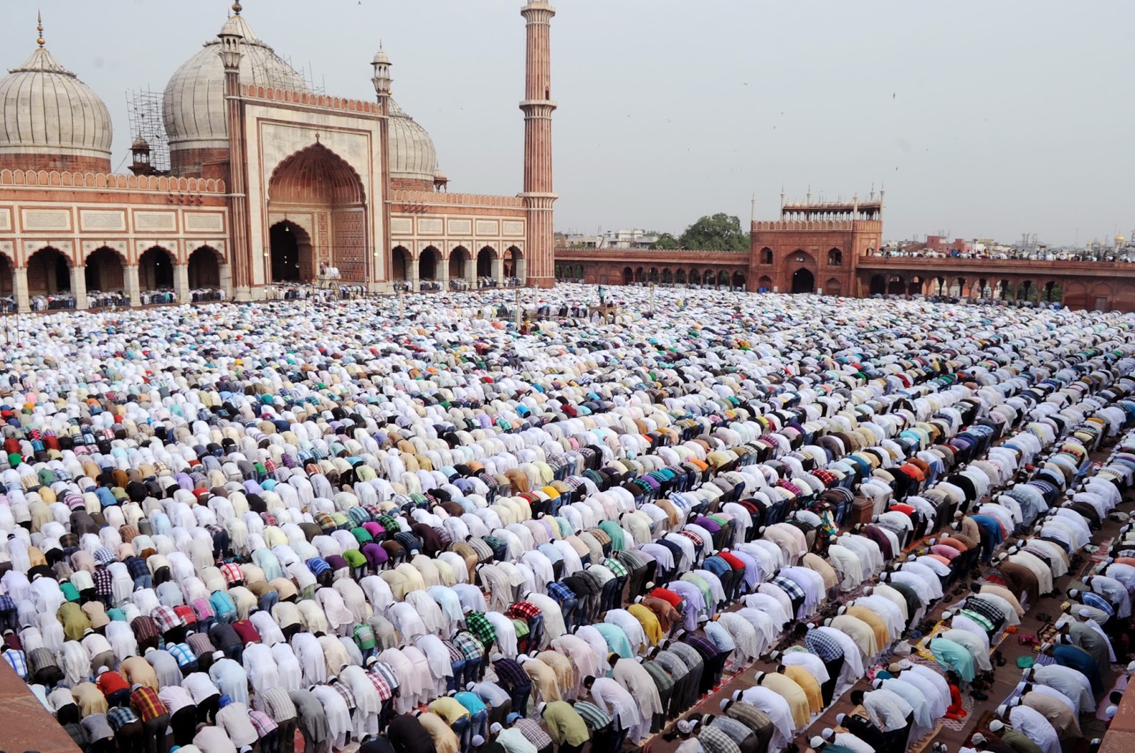 Namaz Ki Rakat In Urdu Fajar Zohar Asar Maghrib Isha Juma Tadad