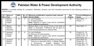 WAPDA Assistant Director Jobs 2016 NTS Application Form Last Date