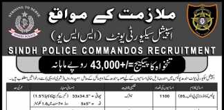 Sindh Police Commando SSU Jobs 2017 Male, Female Form, Last Date