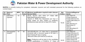 WAPDA Data Entry Operator, Stenographer Jobs 2016 NTS Application Form, Advertisement