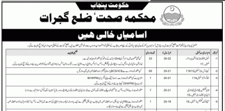 Health Department Gujrat Jobs 2016 October NTS Application Form Download