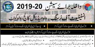 Wah Cantt Medical College BSc Nursing Admissions 2019-20 Form