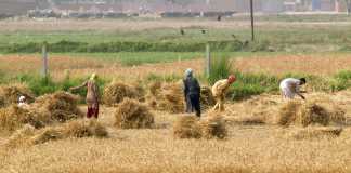 Essay on Village Life in Pakistan For 10th Class, 2nd Year