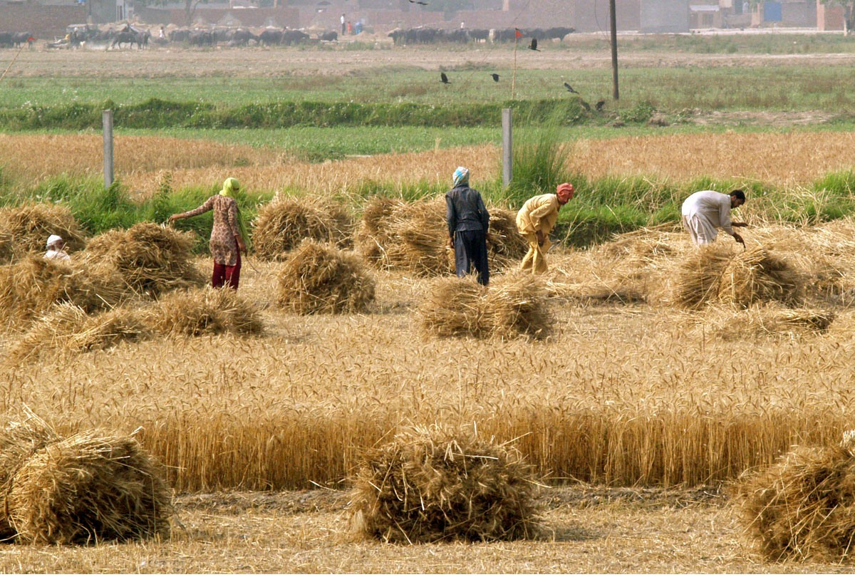 village life essay in telugu