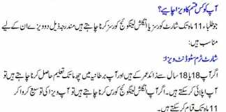 UK Student Visa Types For Pakistan In Urdu
