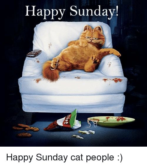 funny lazy sunday quotes