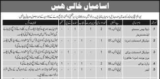 CMH Bahawalpur Jobs 2017 Combined Military Hospital Application Form, Advertisement