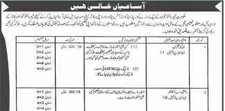 Directorate General of Mines and Minerals KPK Jobs 2017 NTS Form Download