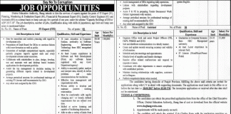 District Education Authority Jhang Jobs 2017 Application Form, Last Date