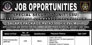 SSU Sindh Police NTS Test 2017 Date, Roll No Slips Download