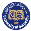 Sargodha University UOS BA, BSc Supplementary Result 2019