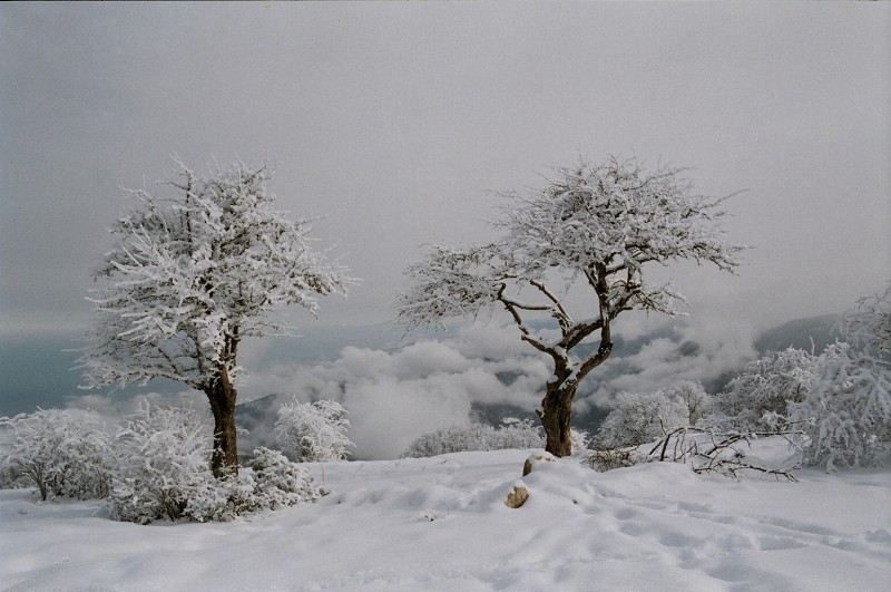 Top 10 Snowfall Places in Pakistan, Ziarat