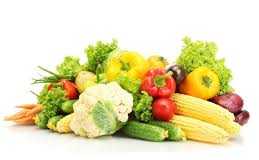 Off Season Vegetable Farming In Pakistan Cost Business Plan Feasibility