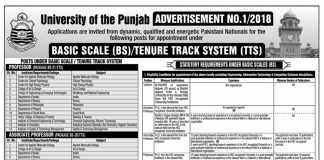 Punjab University Lecturer Jobs 2019 Application Form Advertisement