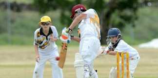 A Cricket Match Essay For 10 Class in English
