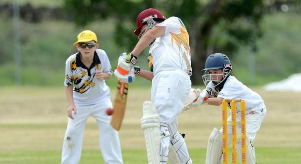 A Cricket Match Essay For 10 Class in English