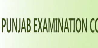 Sahiwal Board 5th Class Result 2020 Online By Name, Roll No