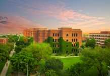 Best Government School in Lahore List