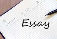 Life in a Big City Essay for 10th Class, 2nd Year With Quotations