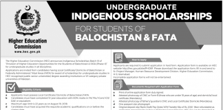 HEC Undergraduate Indigenous Scholarship 2018 Apply Online Advertisement