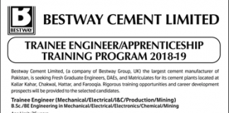 Bestway Cement Trainee Engineer, Apprenticeship 2018 Apply Online
