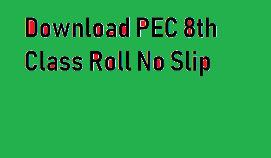 PEC 8th Class Roll No Slip 2020 Online Download