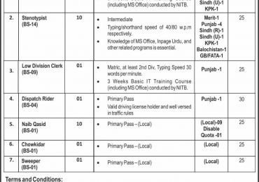 Pakistan Halal Authority Jobs 2019 CTS Application Form Advertisement