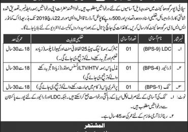 Pakistan Army Civilian Jobs 2019 Staff Advertisement Form