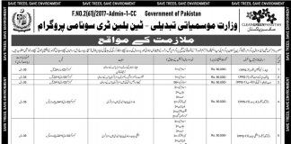 Ten Billion Tree Tsunami Jobs 2020 OTS Application Form