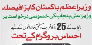 CM Punjab Insaf Imdad Program 2020 Apply Online