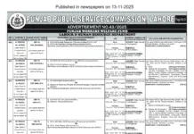 PPSC Educator Jobs 2025 Punjab