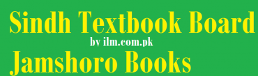 SINDH TEXTBOOK BOARD JAMSHORO MATH FOR CLASS 9 PDF visual data 8
