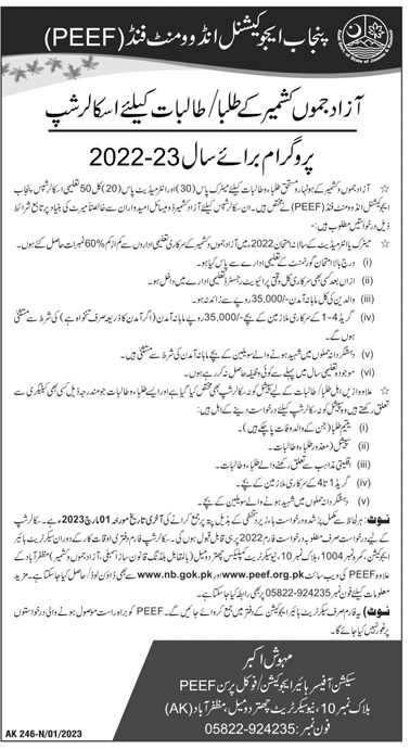 PEEF Scholarships for AJK Students 2024 Application Form
