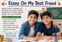 Essay On My Best Friend