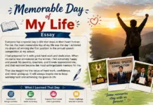 Memorable Day of My Life Essay Memorable Day of My Life Essay